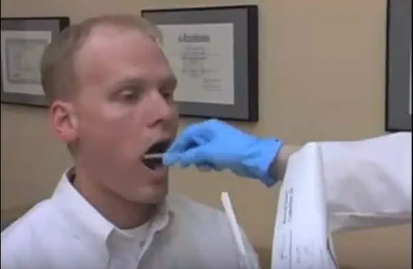 Half Sibling DNA Test