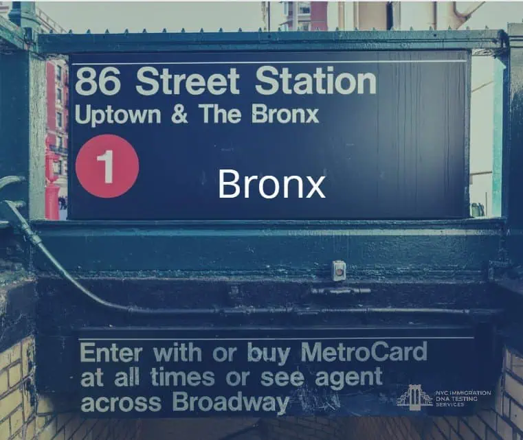 bronx dna test