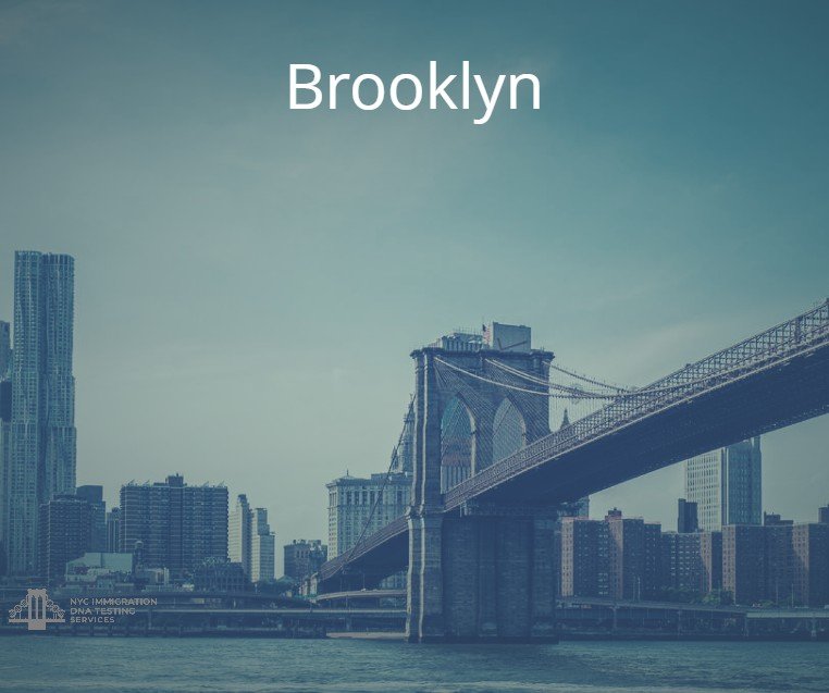 brooklyn dna test